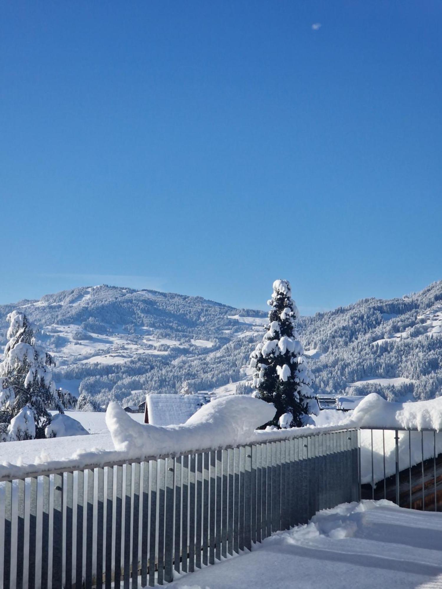 Adler 3* Lingenau