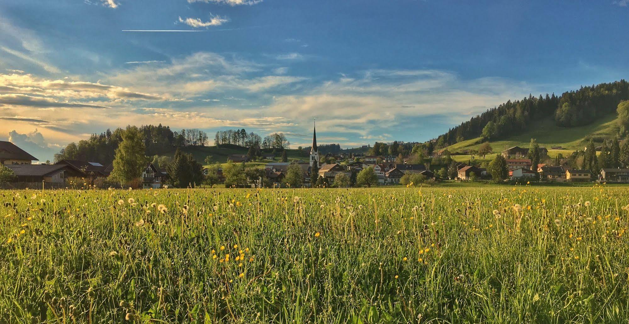 Hotel Adler 3*